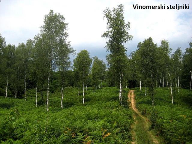 Vikend apartma Ma&Ja Metlika Bagian luar foto
