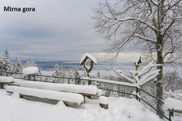 Vikend apartma Ma&Ja Metlika Bagian luar foto