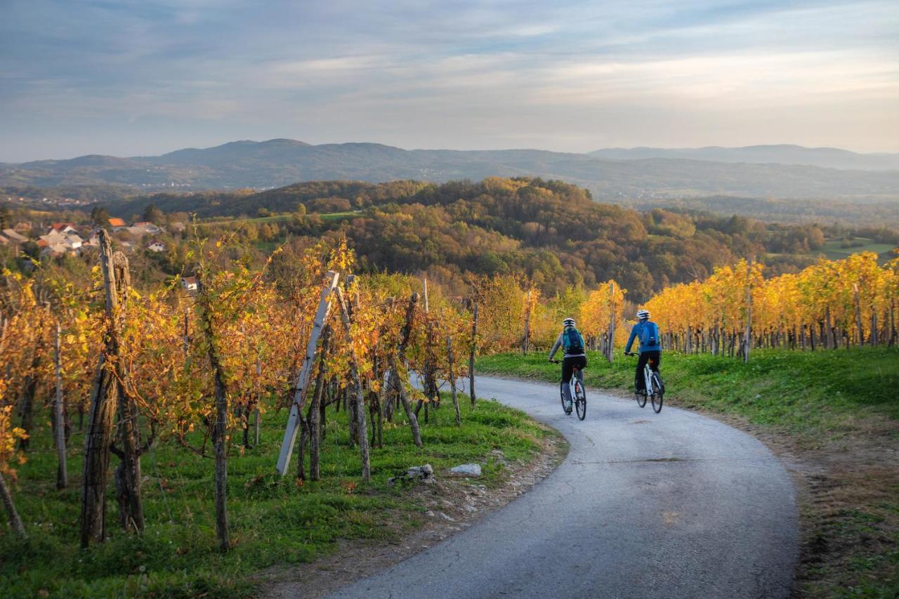 Vikend apartma Ma&Ja Metlika Bagian luar foto