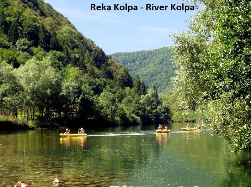 Vikend apartma Ma&Ja Metlika Bagian luar foto