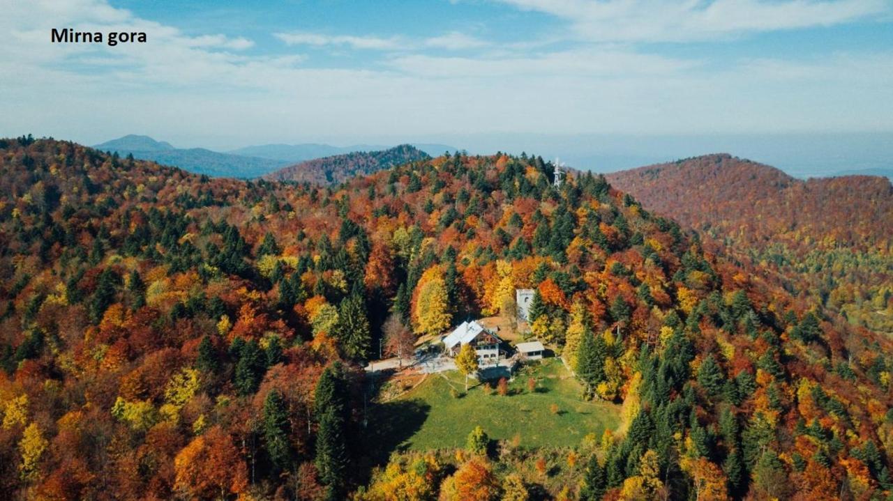 Vikend apartma Ma&Ja Metlika Bagian luar foto