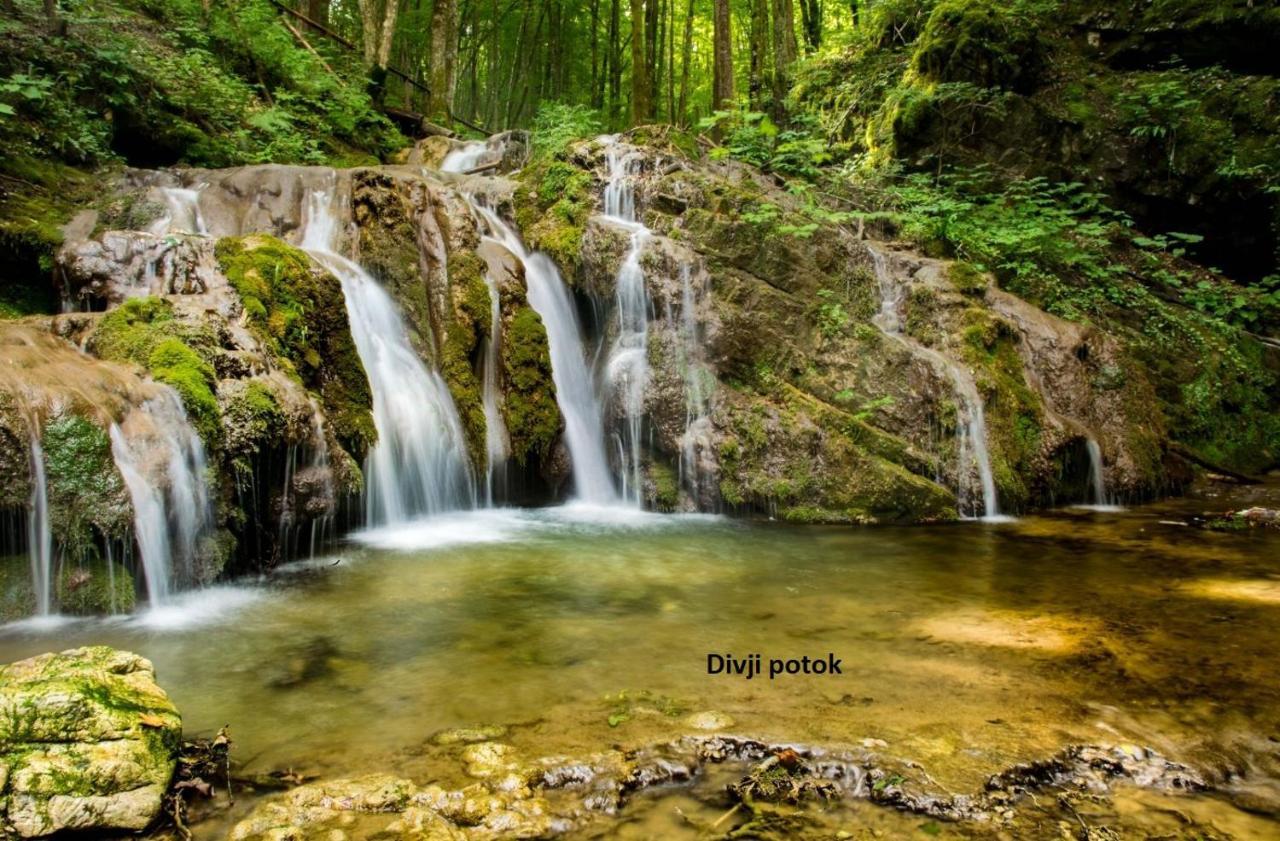 Vikend apartma Ma&Ja Metlika Bagian luar foto