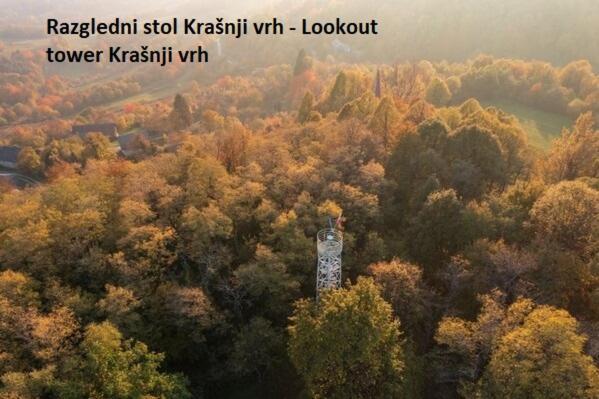 Vikend apartma Ma&Ja Metlika Bagian luar foto