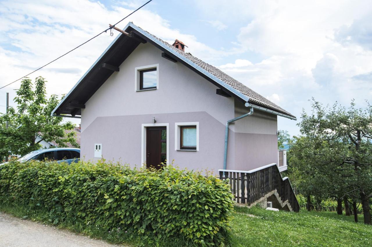 Vikend apartma Ma&Ja Metlika Bagian luar foto